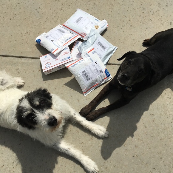 Hey friends! Meet me 🌼 - Picture 3 of 5